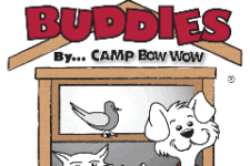 Photo of Camp Bow Wow & Home Buddies Photo of Camp Bow Wow & Home Buddies