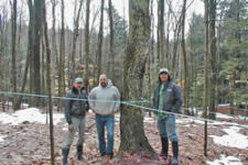 Photo of Christensen Farm Maple Syrup Photo of Christensen Farm Maple Syrup