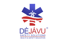 Logo for DejaVu Safety Solutions Logo for DejaVu Safety Solutions