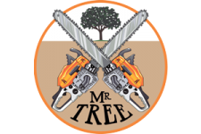 Logo for Mr. Tree Logo for Mr. Tree