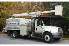 Logo for Strobert Tree Service Logo for Strobert Tree Service